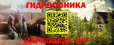мяу мяу мука Новодвинск